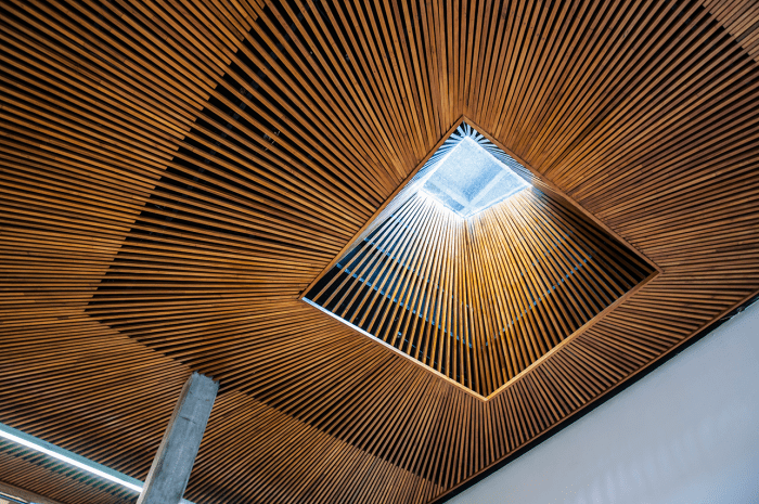 Nuevo CIESPAL: Un año exitoso que comienza a gestar las utopías de la comunicación